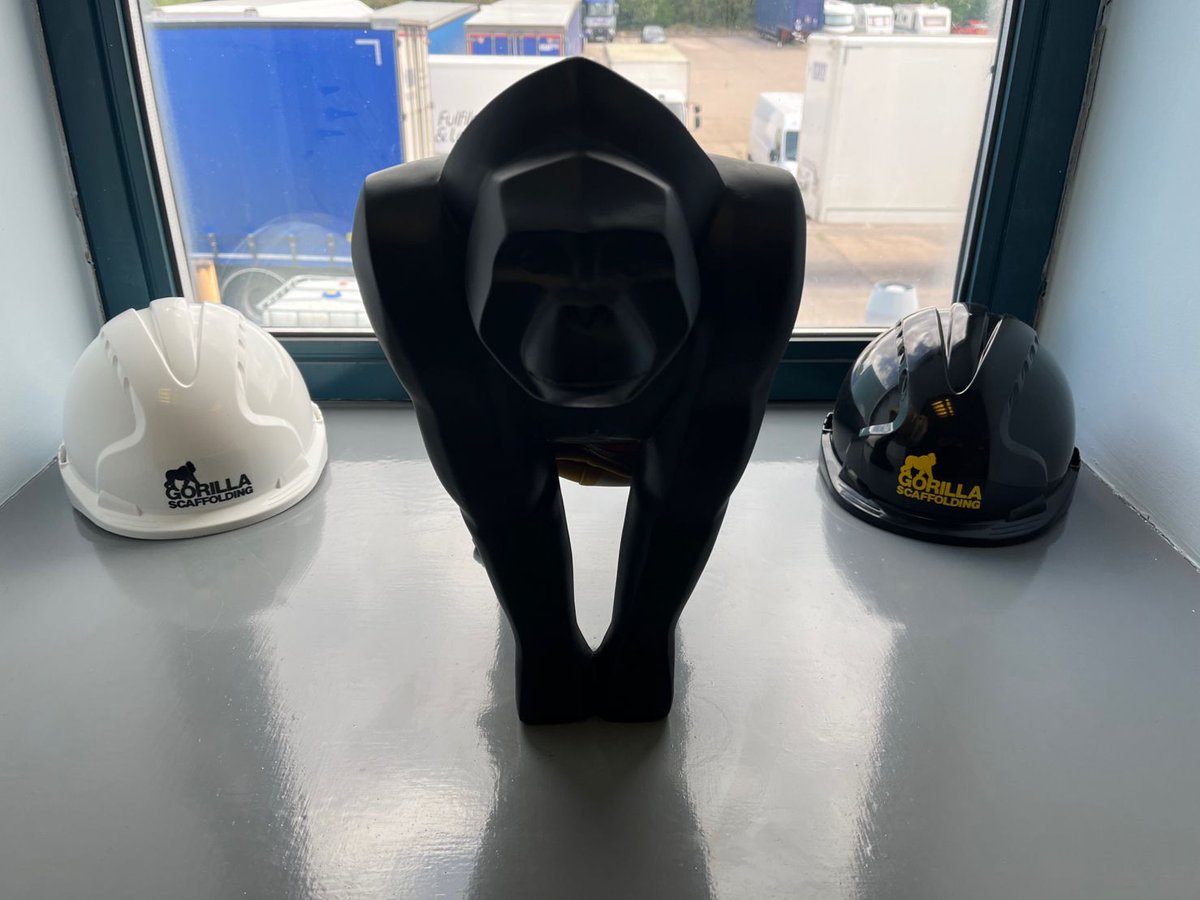 GorillaScaffold's tweet photo. We'd like to introduce you to the newest member of the Gorilla Team!👀🦍 

#Scaffolding #Scaffolders #Construction https://t.co/yzPdxxZCPd