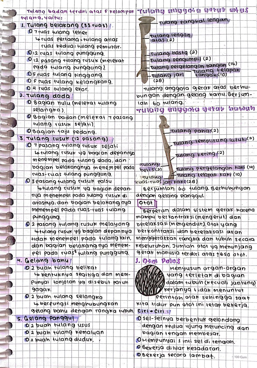 Catatanku04's tweet photo. SISTEM GERAK PADA MANUSIA
#biologi #studytwt #AMBISVERSE https://t.co/xrKEdx7lGP
