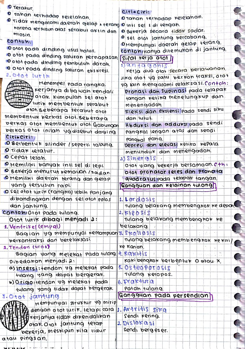 Catatanku04's tweet photo. SISTEM GERAK PADA MANUSIA
#biologi #studytwt #AMBISVERSE https://t.co/xrKEdx7lGP