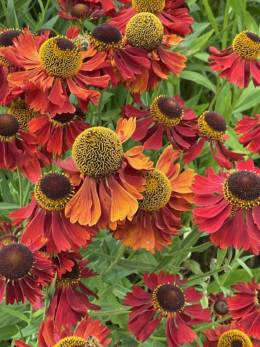 Happy Monday everyone 🧡 Have a good day 😎