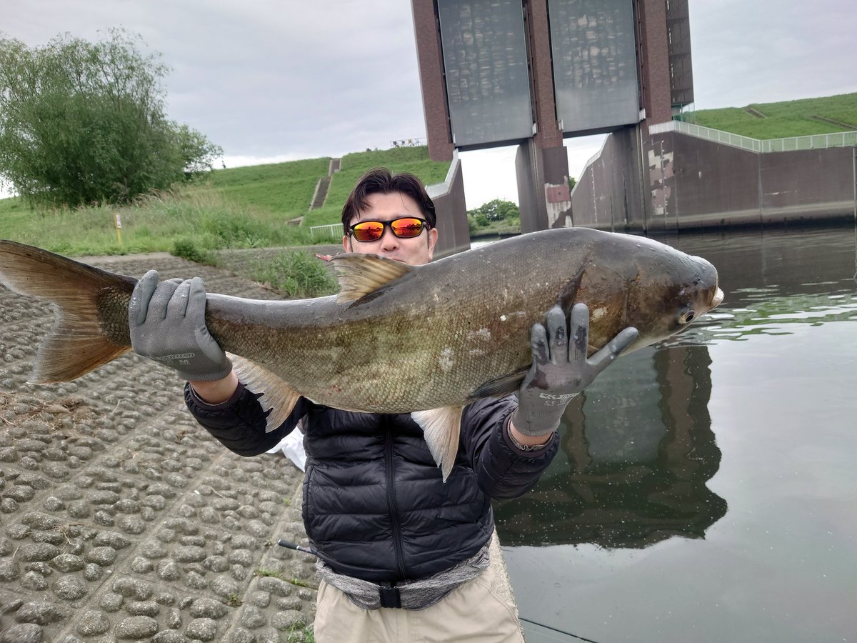 mitsmits12's tweet photo. バイク🏍️釣り🎣自然🏞️動物🐕夕焼け🌇高層階ホテルステイ🤭が好き🤗
晴れ男☀️コミュ症😩
適当につぶやく雑多アカ
ゆる〜くやっておりますので暖かい目で見て下さい🙇💦
皆様どうぞ宜しくお願い致しますm(__)m

#バイク乗りとして軽く自己紹介 
#バイク乗りと繋がりたい 
#バイク好きと繋がりたい
#釣り https://t.co/F47SVrYvP9