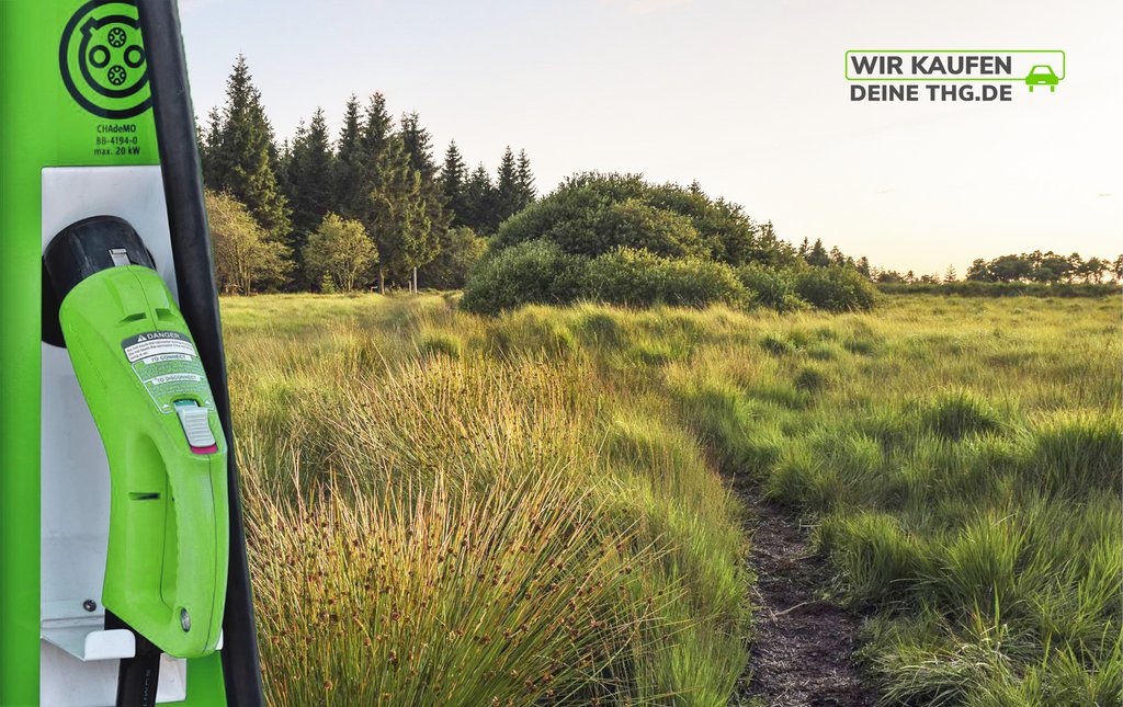 Moore – die unterschätzten Superhelden im #Umweltschutz 🌱⁠
⁠
Weltweit speichern diese dauernd vernässte Feuchtgebiete doppelt so viel Kohlenstoff wie z.B. tropische Wälder! ☁️ 🌎⁠
⁠
Lesen Sie alles zum Thema: wirkaufendeinethg.de/blog/2022/06/1… 

#thg #thgquote #elektroauto #elektrisch