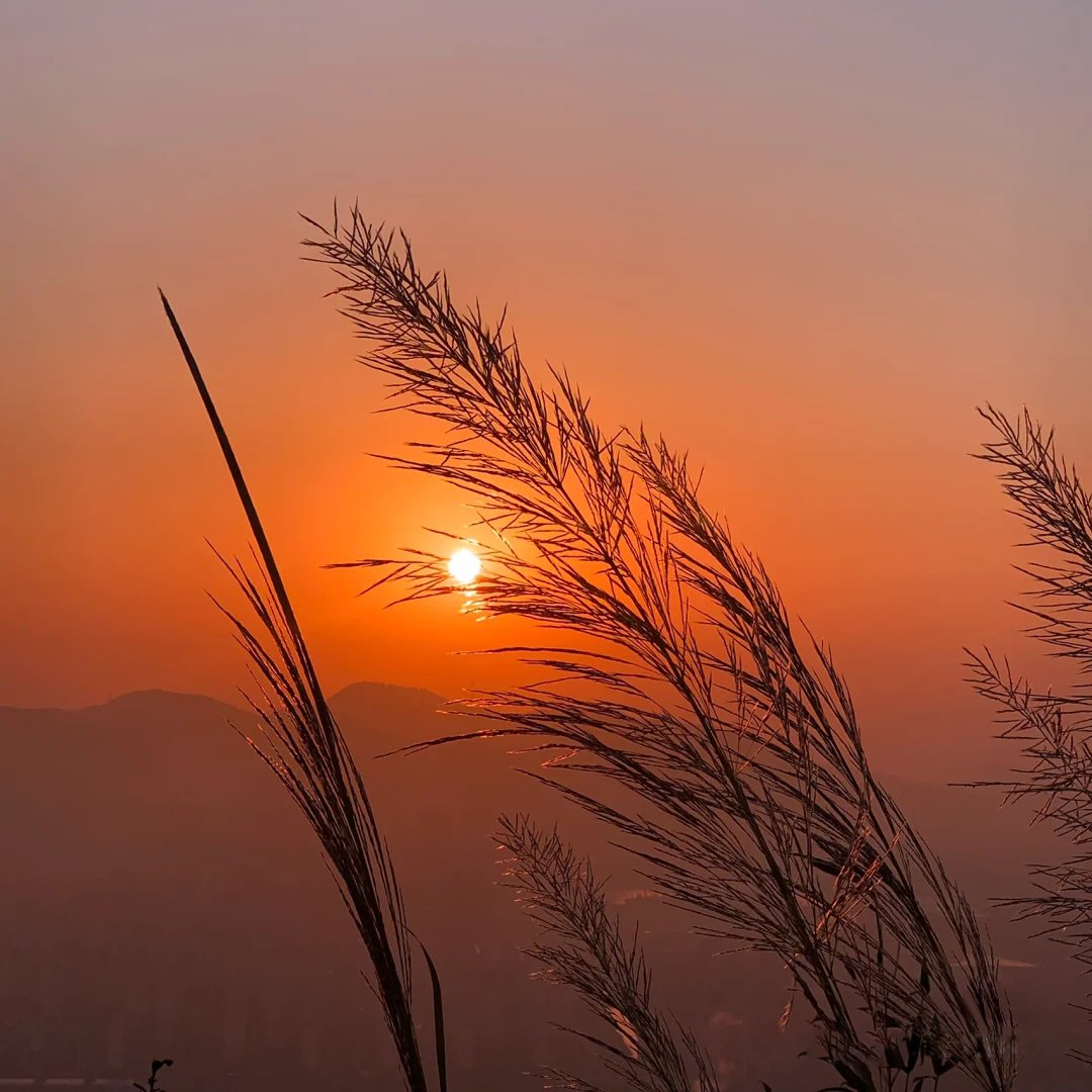 emartus_inc's tweet image. Let the sunset be calm and pleasant!
🌟🧡🌄🧡🌟
____________________
#EMARTUS #NaturePhotography #art #nature #NatureBeauty #positive #beautiful #sunset #beauty #sky #scenery #blue_sky #landscape #sunrise #orange #orangesky #sundayvibes