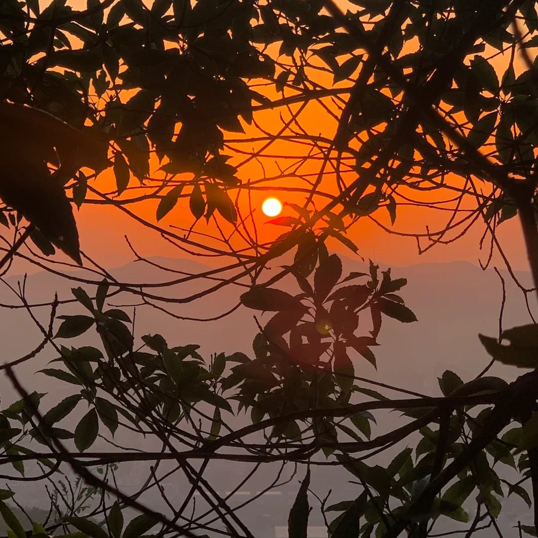 emartus_inc's tweet image. Let the sunset be calm and pleasant!
🌟🧡🌄🧡🌟
____________________
#EMARTUS #NaturePhotography #art #nature #NatureBeauty #positive #beautiful #sunset #beauty #sky #scenery #blue_sky #landscape #sunrise #orange #orangesky #sundayvibes