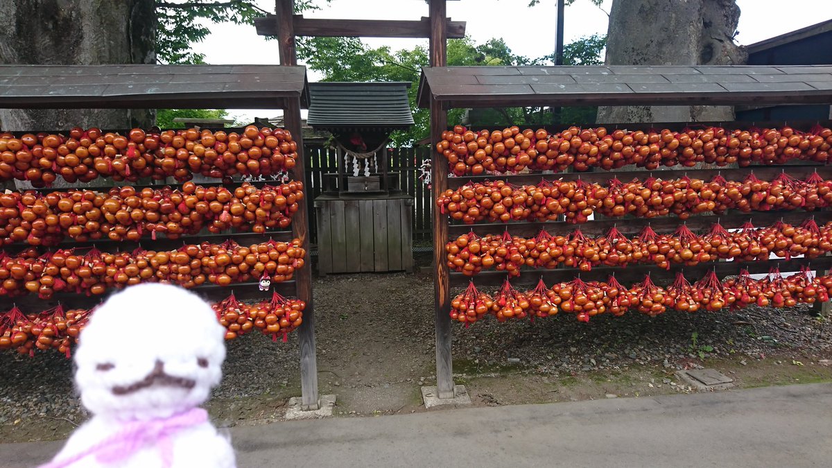 doll_trip's tweet photo. 『縁結び』 2022.06.13.

 相棒は、何度か此方で参拝してますが…今の所??これからも御利益は無いようです( ´-ω-)
 八方塞がりの瓢箪に隠れてるので…縁結び神社の存在を私も知ったのが最近なのですがw
 今は、大黒天様…金運と縁を結びたい!!←切実💦

#たびぐるみ
#テル子の日常
#神社
#盛岡市八幡町 https://t.co/ssCobX5G3E