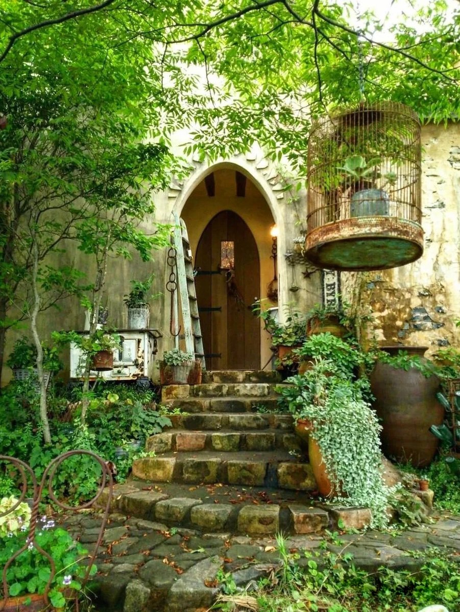 emartus_inc's tweet image. 💚💚Beautiful Garden💚💚
____________________
#EMARTUS #nature #photography #flowers #plants #garden #flowercore  #NaturePhotography #art  #gardening #Art_of_Photography #flowering  #floriculture  #beautiful #nature #landscape #positive #garden #summer #flowers #scenery