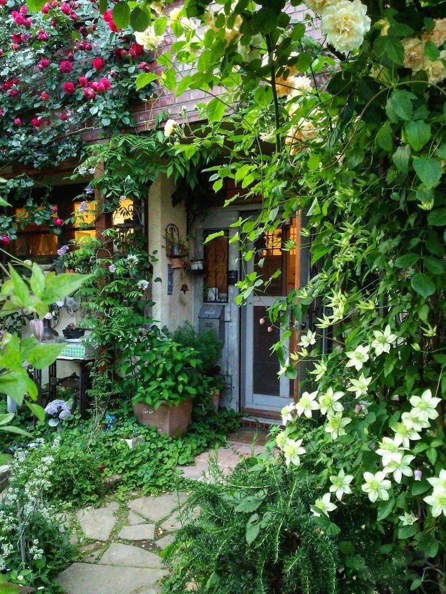 emartus_inc's tweet image. 💚💚Beautiful Garden💚💚
____________________
#EMARTUS #nature #photography #flowers #plants #garden #flowercore  #NaturePhotography #art  #gardening #Art_of_Photography #flowering  #floriculture  #beautiful #nature #landscape #positive #garden #summer #flowers #scenery