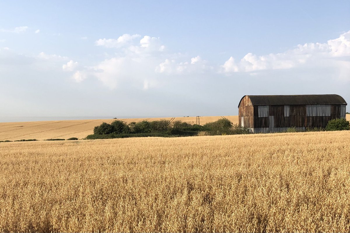 Looby_65's tweet image. Good morning Hampshire 🌅