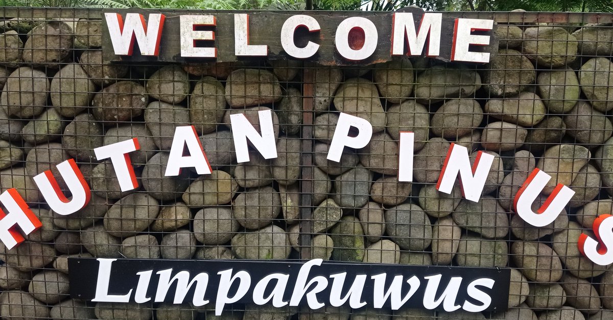 ENDRO_K27's tweet photo. Hutan Pinus Limpakuwus Baturraden Banyumas, Minggu 17 Juli 2022 #mountainslide #limpakuwus #limpakuwusbaturaden #limpakuwuspurwokerto #limpakuwuspwt #prosotandihutan #limpakuwus_baturraden #limpakuwusinmemory #limpakuwuspwtjateng #baturraden https://t.co/mCWzWYztM2