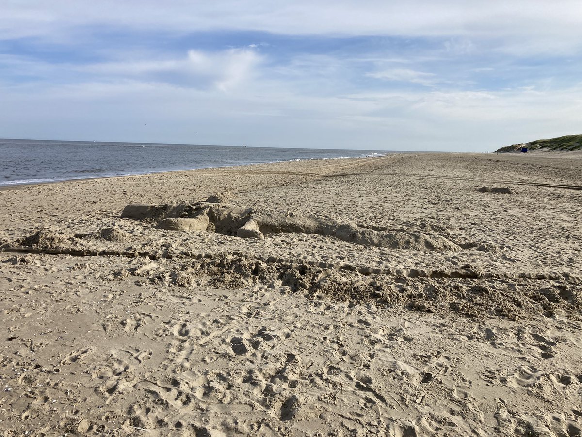 SilvanHoep's tweet photo. Gevaarlijk beest gespot nabij paal 15 #Texel https://t.co/v72OlUKzxF