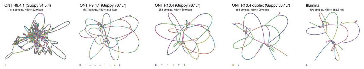 Ryan Wick (@rrwick) on Twitter photo I recently wondered: how well would <a href="/nanopore/">Oxford Nanopore</a> reads assemble in a short-read assembler? I.e. can ONT reads pass as Illumina reads in a de Bruijn graph assembly algorithm? Here are the results!
1/8 I recently wondered: how well would <a href="/nanopore/">Oxford Nanopore</a> reads assemble in a short-read assembler? I.e. can ONT reads pass as Illumina reads in a de Bruijn graph assembly algorithm? Here are the results!
1/8