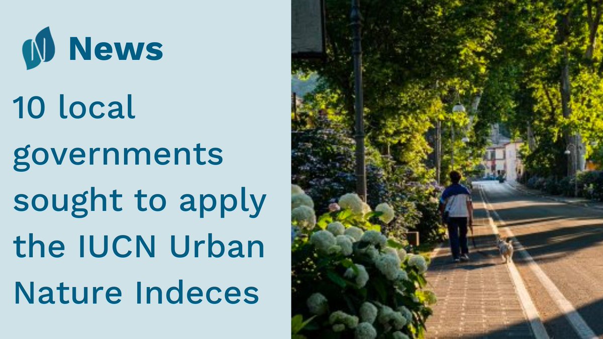 NetworkNatureEU's tweet photo. An ambitious group of 10 local governments is sought to apply the @IucnUrban Nature Indices -
 
A new methodological framework for measuring the ecological performance of cities🌲🌆

Find out more info and apply by Wednesday 👉 https://t.co/JgSV7vjWrc https://t.co/TCNCfo0V9l