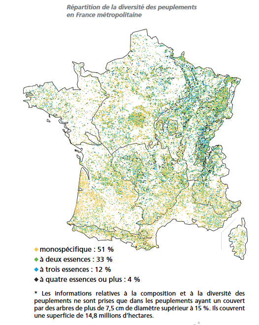 FrancAller_info's tweet photo. @F_Bouvard_REV Et, au cas où : les #feuillus couvrent les deux tiers des #forêts métropolitaines. Nous sommes loin du cliché d'une forêt exclusivement replantée en conifères, sans biodiversité... https://t.co/ihA6HVuhJ6