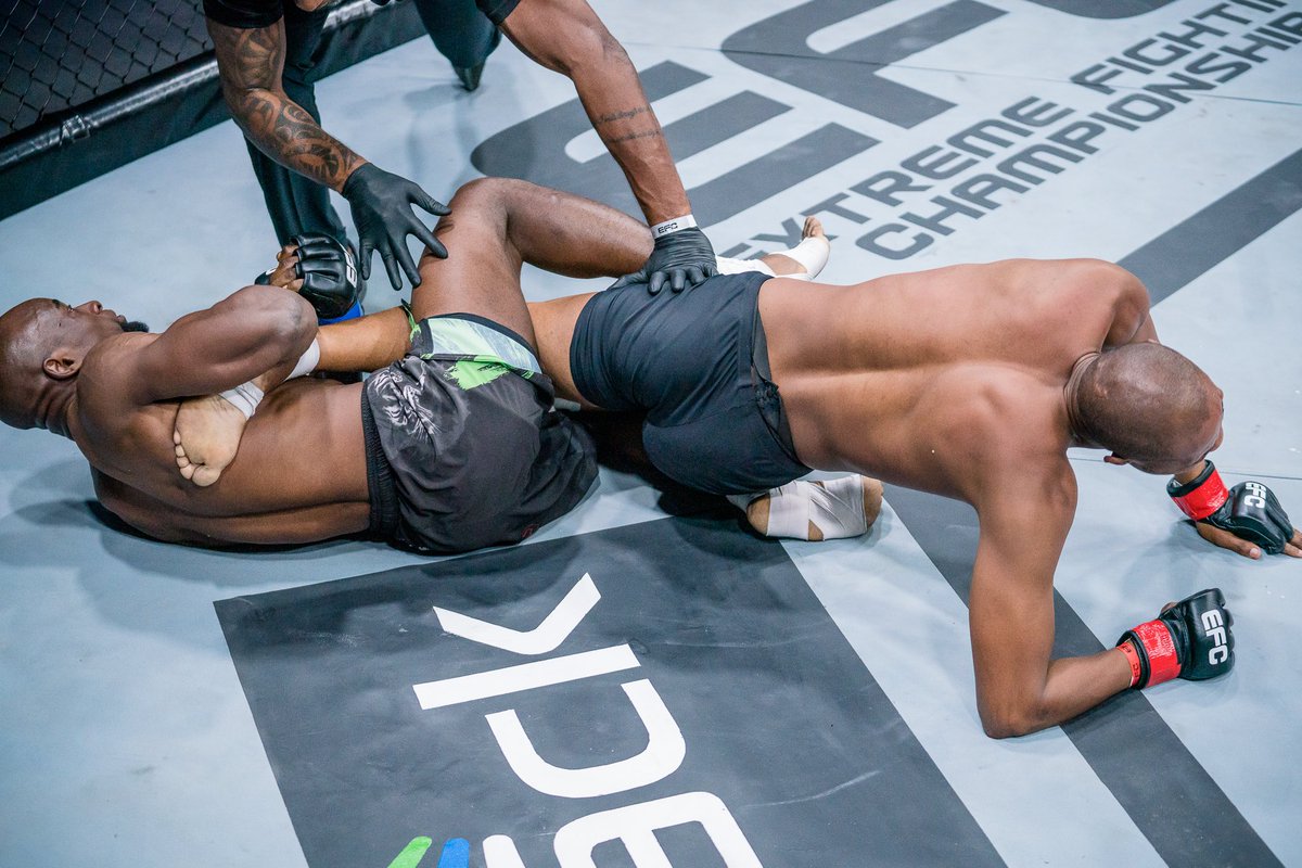 BangweuluTv's tweet photo. Zambia, stand up! 🇿🇲 We are well represented.
'The Black Tiger'

#EFC95 #Zambiakuchalo https://t.co/t67Hfz9jlj