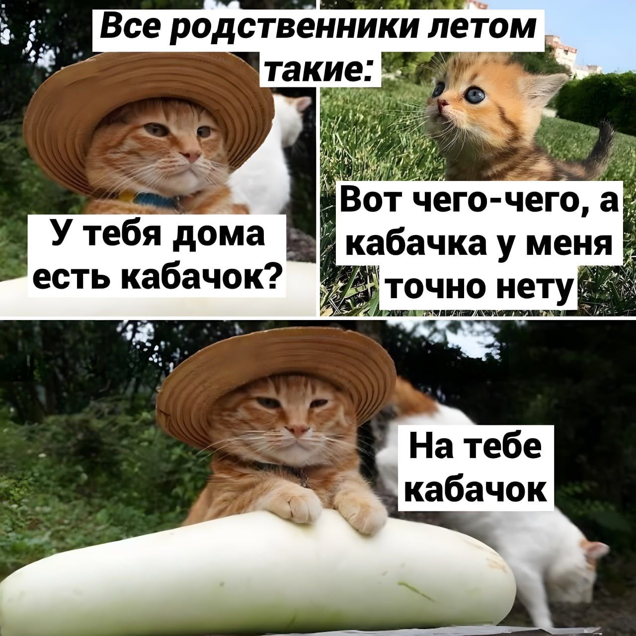 Самые шутки