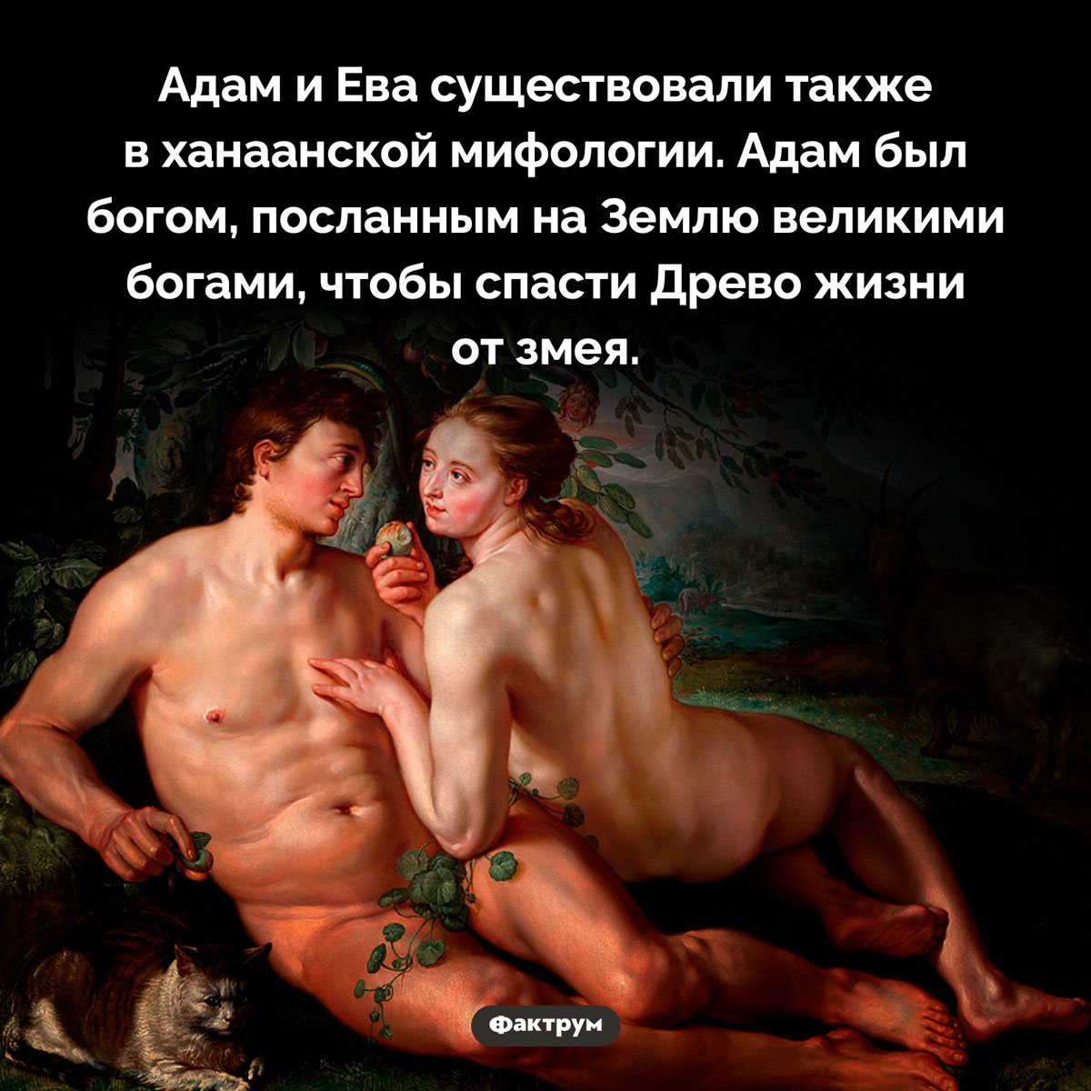 Фактрум (@factroom) on Twitter photo 