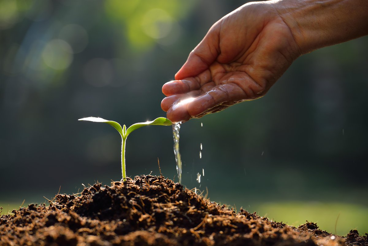Get outside, Get Water Fit &amp; Get the most out of your garden this summer ☀️ 
🍂 Grass turning brown is okay for a few weeks, it soon bounce back!
💧 Use a watering can.
🌻 Water your plants in off-peak times.
🌧️ Invest in a water butt.
How do you keep your garden in good shape?