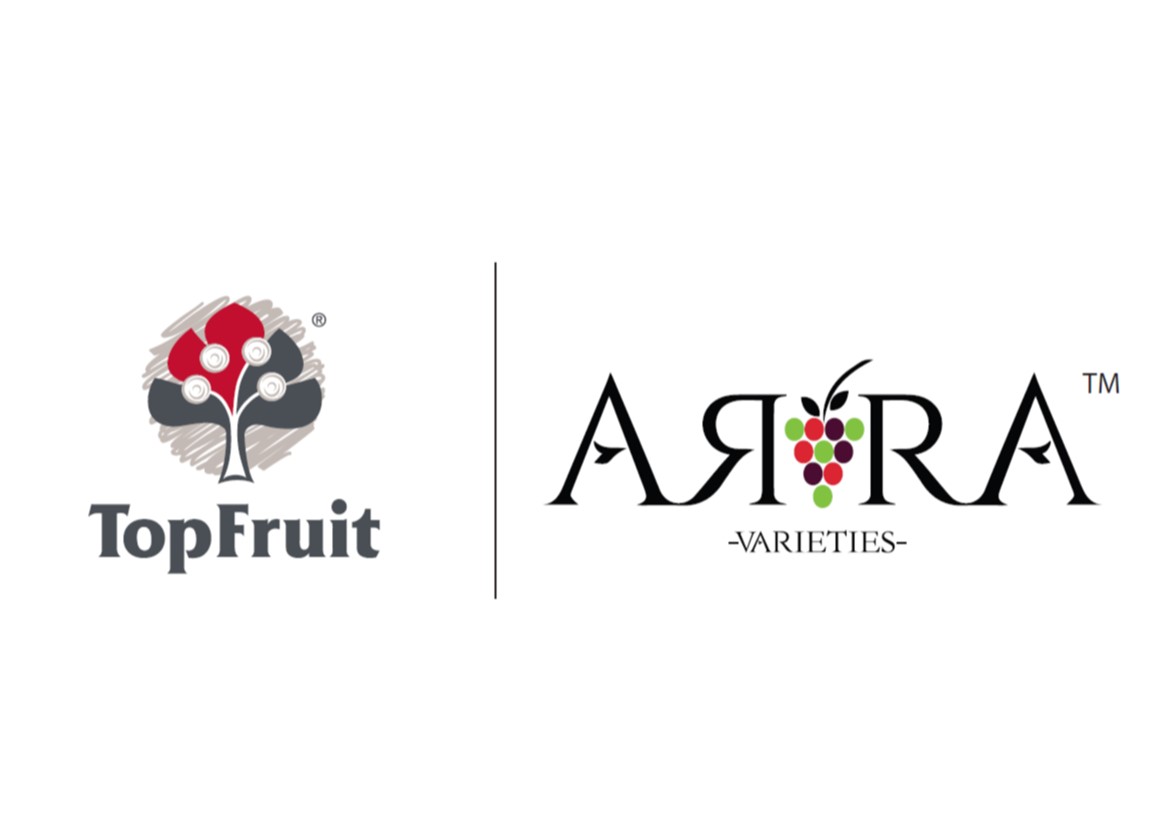 "SASEV is proud to have @TopFruit as its Platinum Sponsor for the SASEV Table and Raisin Grape Information Day on 17 August 2022 in Kakamas

Learn more about TopFruit: topfruit.co.za

#newfruitvarieties #intellectualproperty #innovative #wearetopfruit #cultivarmanagement