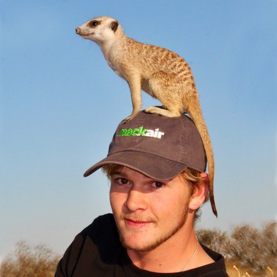 Mack Air tweet media