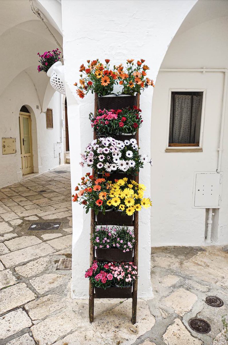AllafineViaggio's tweet image. Oggi vi porto a spasso per la Val d'Itria, in #Puglia 👉bit.ly/3AXTYJu Un tessuto di borghi minuscoli e tutti bianchi, pronti a trasmettere la loro dolcezza intrinseca a chi decide di scoprirli portandosi dietro semplicemente un sorriso.😍