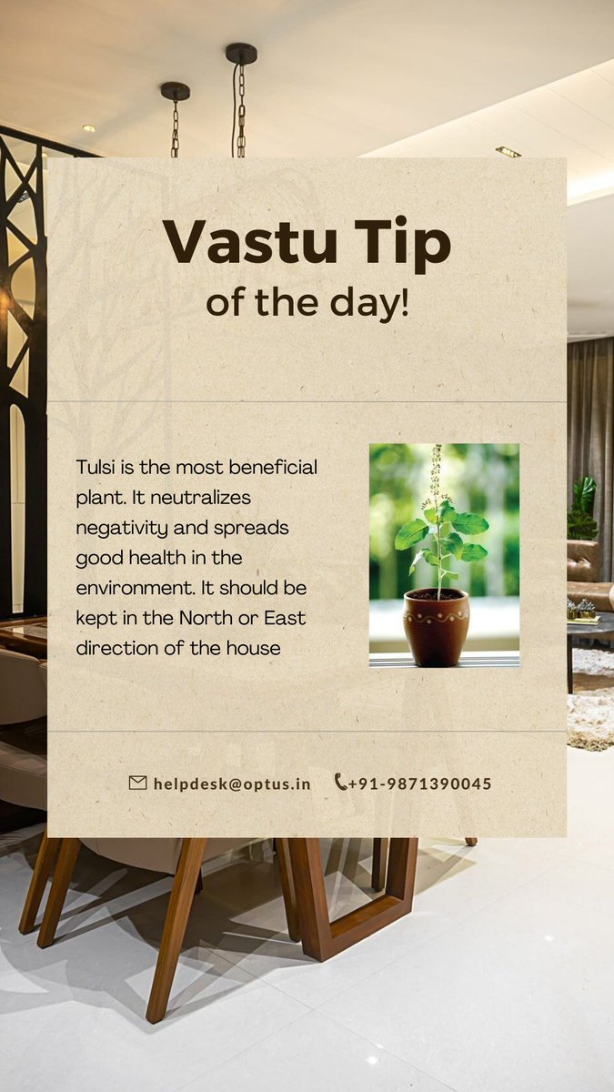 optushousing's tweet photo. #vastutipoftheday
The benefits of keeping Tulsi in your home are unparalleled- it is not only a sacred plant but also has beneficial medicinal properties.
#hometips #vastutips #home #positiveenergy #goodhealth #medicinalproperties #tulsiplant🌿 #tulsiplantphotography https://t.co/YpG0jGjrKZ