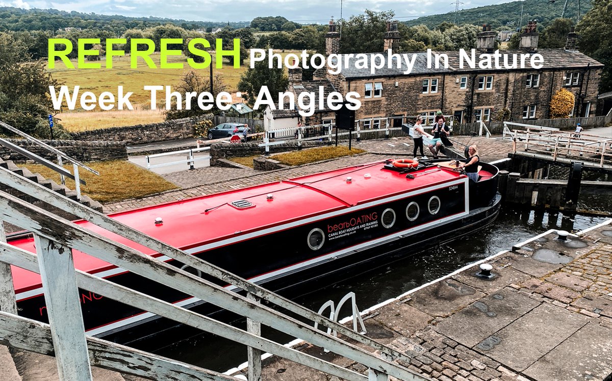 For the third week of sharing images from the production of the Refresh Video Tutorials we will be focusing on images that are captured from creative and unusual angles. 

Will you be inspired to try out out some unusual angles when capturing images?

canal-connections.com/refresh-tutori…