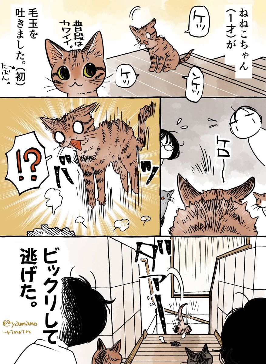 #今日の山野絵
※注意❕猫が吐く話です。

ねねこちゃん(1才)が初めて(←たぶん…)吐いたんですが… 