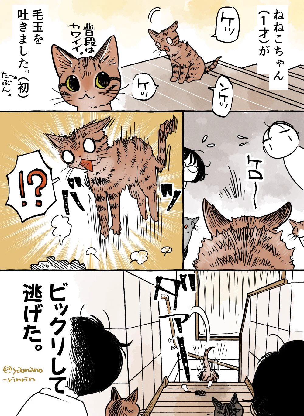 山野りんりん🐈新作描いてます🖋️ on X: 