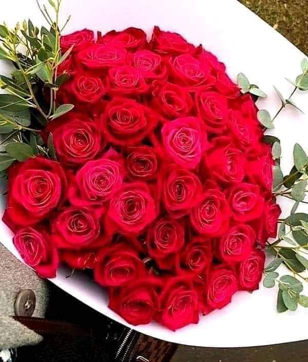 Mughal Builders 👷‍♂️ (@muhamma31242421) on Twitter photo 