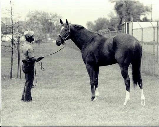 BettingSitesCom's tweet image. Secretariat and Eddie Sweat