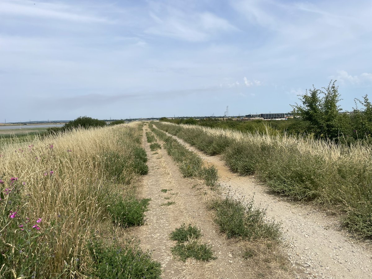 cbarran1's tweet photo. @ThamesPathNT completed the extension to Crayford Ness, taking in @CrossnessET. A lovely end to the magical run which started a year ago https://t.co/Rh5nnFcY4m