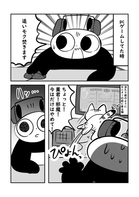 猫にケツビームされて撃退された日記です#ぬら次郎日記 