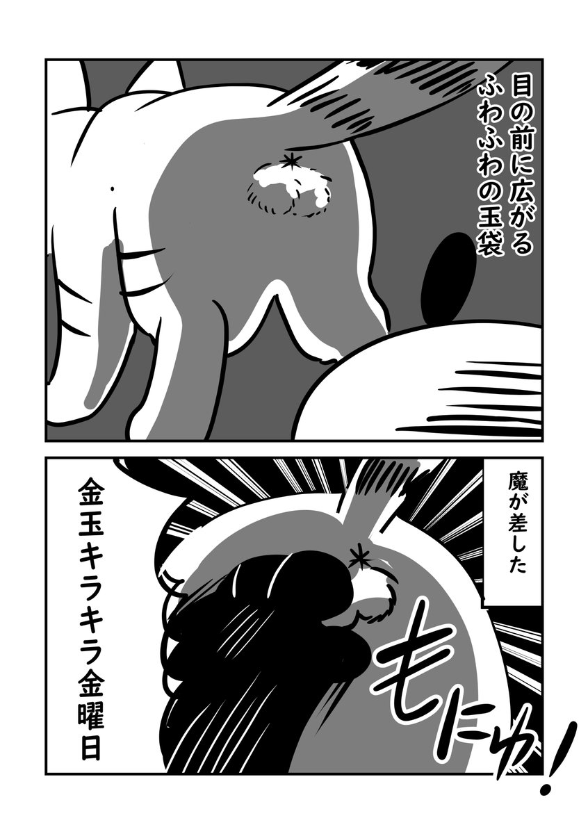 猫にケツビームされて撃退された日記です

#ぬら次郎日記 