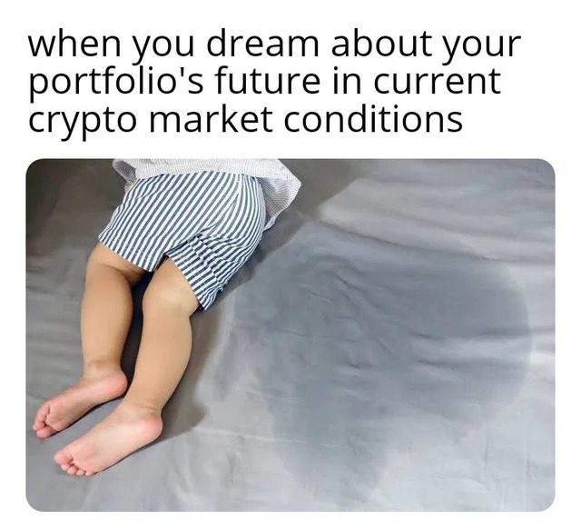 NftUpcoming's tweet image. When you dream about your portfolio's future.. !

#NFTs #Crypto #RespectMeme