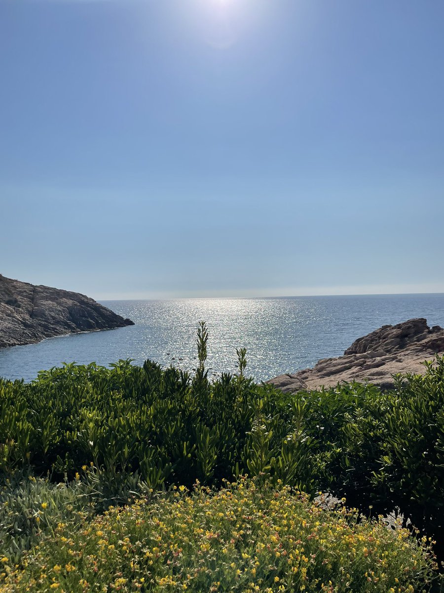 makiniemi's tweet image. You know what they say - location, location, #EMBOrnaLocalization