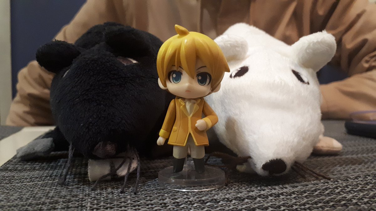 Kooryu_Photo's tweet photo. /Архив/

Аллен и его банд��. https://t.co/bWlsrlSkMm
