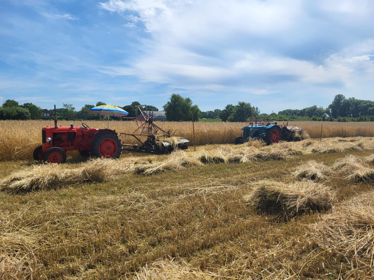 Alle hens aan dek. Vanavond laden.