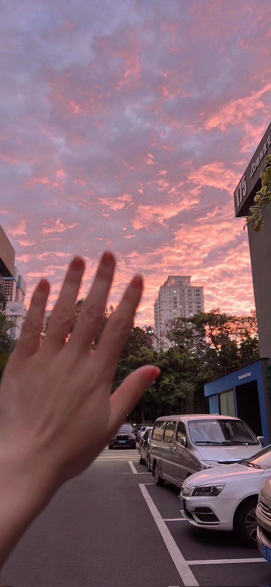 coben1231's tweet image. 