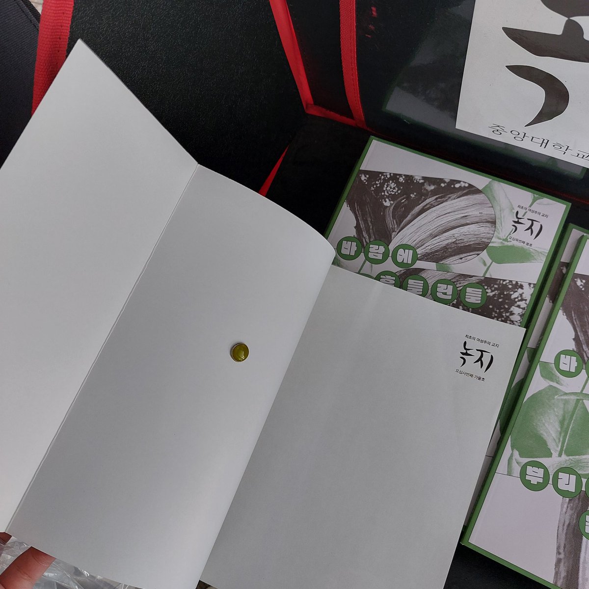 안녕하세요, 중앙대학교 여성주의 교지편집위원회 <녹지>입니다.
7월 6일 낮 12시경 법학관 6층 가판대에 녹지를 배부하던 편집위원의 손에 무언가가 파고들었습니다. 그 정체는 압정이었습니다. 가판대 맨 위에 올려져 있던 54번째 가을호 녹지에는 육안으로 판별이 되지 않는 압정이 박혀있었습니다.