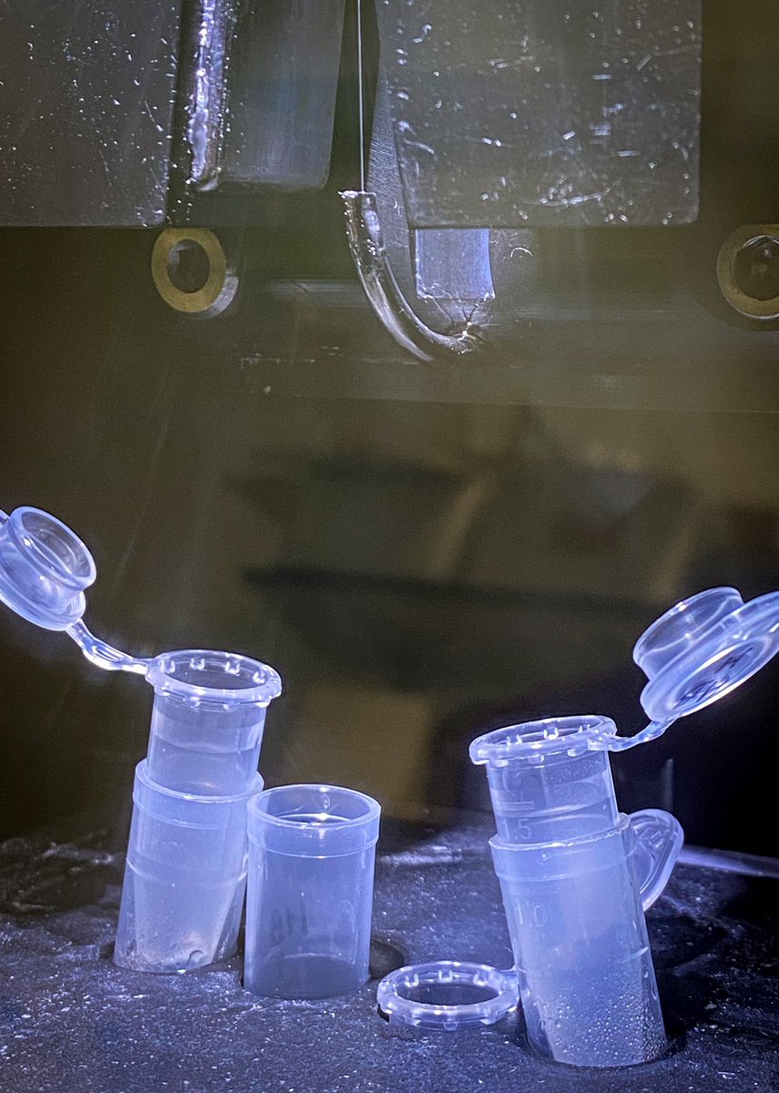 Fluorescence activated #cell sorting #FACS  is one of the crucial #laboratory techniques used to isolate #stemcells. Our #MSc will teach this technique amongst others throughout the course @unibirm_MDS  and will use this during the #GeneEditing #dissertation.