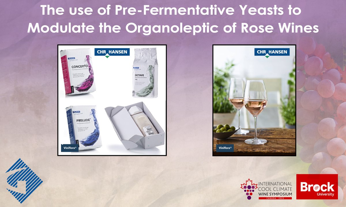 Today, Chr. Hansen will be presenting The Use Of Pre-Fermentative Yeasts To Modulate The Organoleptic Of Rosé Wines at the International Cool Climate Wine Symposium at Brock University.

Click here to learn more: iccws2022.ca

@Chr_Hansen #Gusmerwine #Wine #ChrHansen