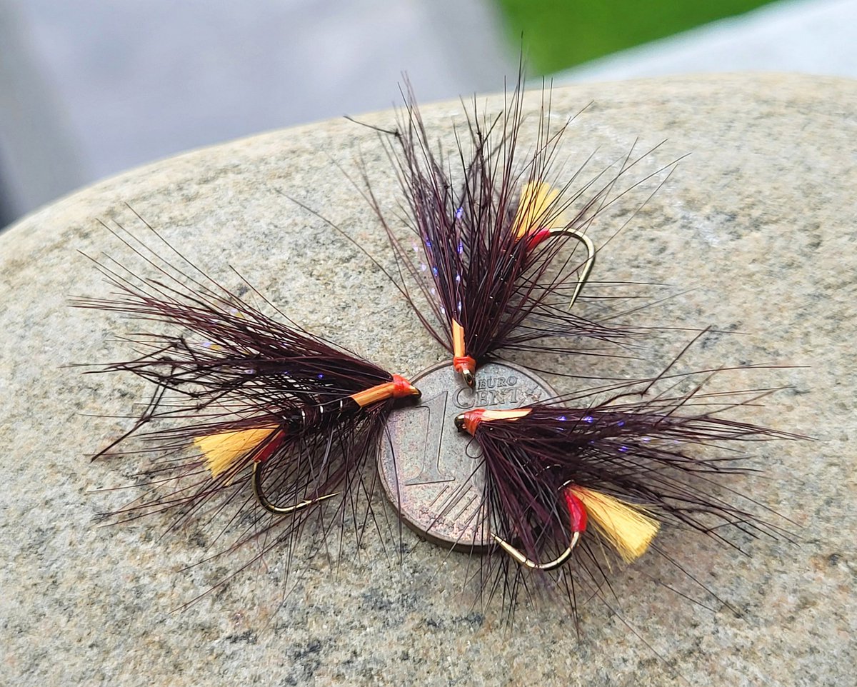 mccoy007_coy's tweet photo. #claretoctopus #wildatlanticsalmon #grilse #sonaghan #wildbrowntrout πβοΈπ£πβοΈ https://t.co/9Wqmagjwcq