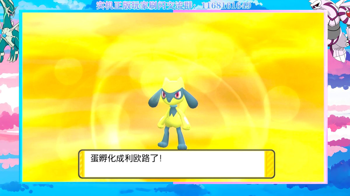 EVF_Chan's tweet photo. Shiny ♀Riolu after 2,020 eggs in BDSP！（Presented by Riley）😍😍 https://t.co/m7xiyFAMyE
