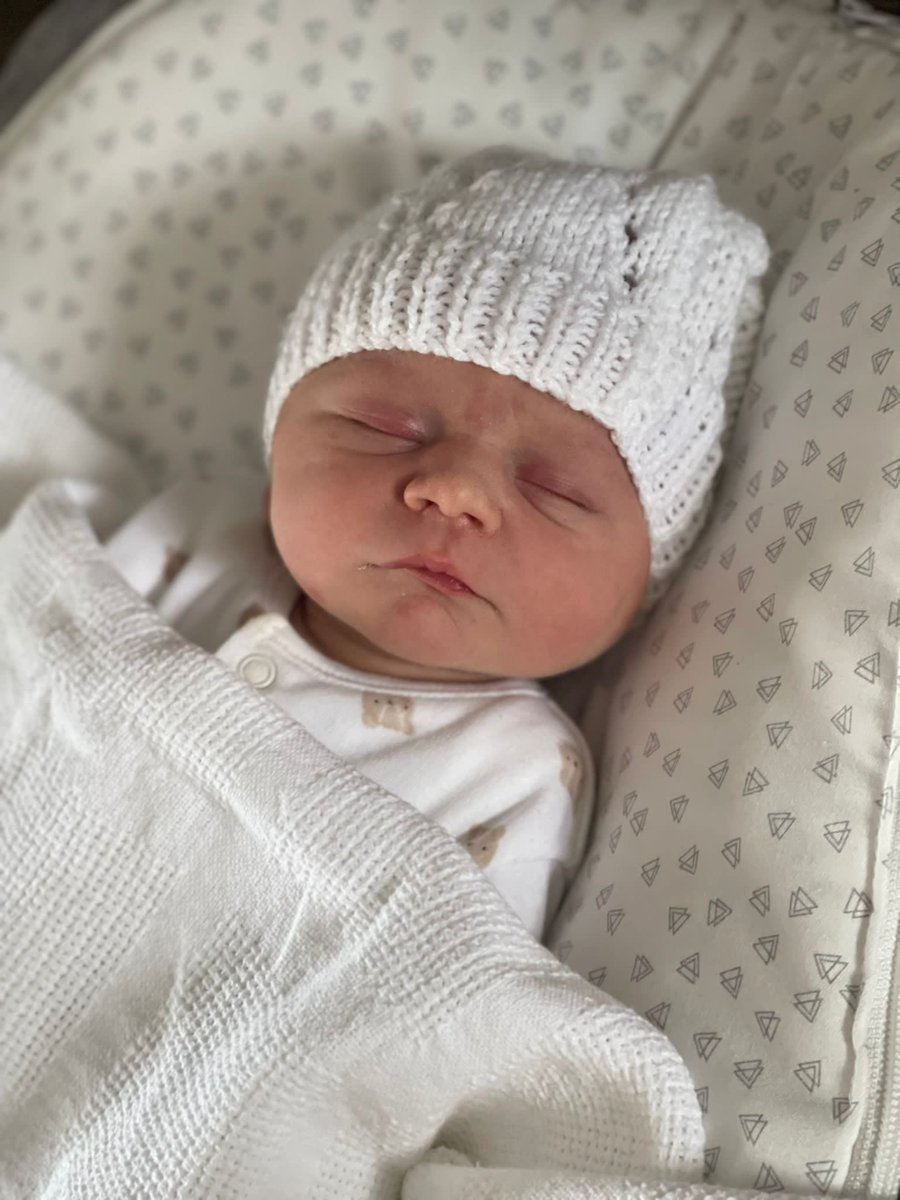 Dylan Ferguson tweet media