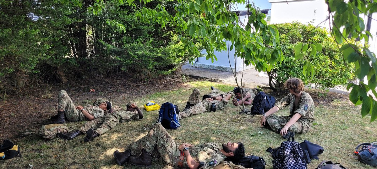 QMGS CCF tweet media