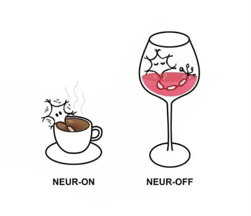 NeuroGoddess24's tweet photo. Ya es NeuroLunes! 
Hay que activar la neurona! ☀️☕️ https://t.co/GhLhhv5kNU
