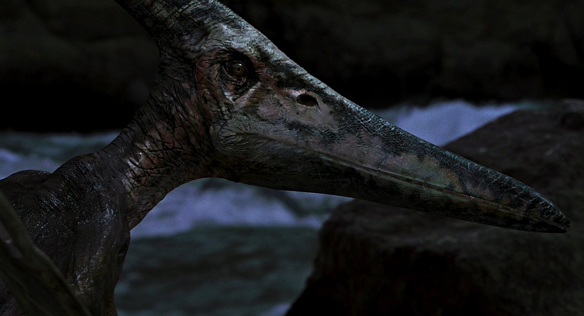 JurassicVault's tweet photo. Happy 21st anniversary to the third film in the franchise, Jurassic Park III

#JurassicParkIII #Dinosaurs #Spinosaurus #IslaSorna #WilliamHMacy #SamNeill #TrevorMorgan #TéaLeoni #AlessandroNivola https://t.co/nGB8l1Ue9V