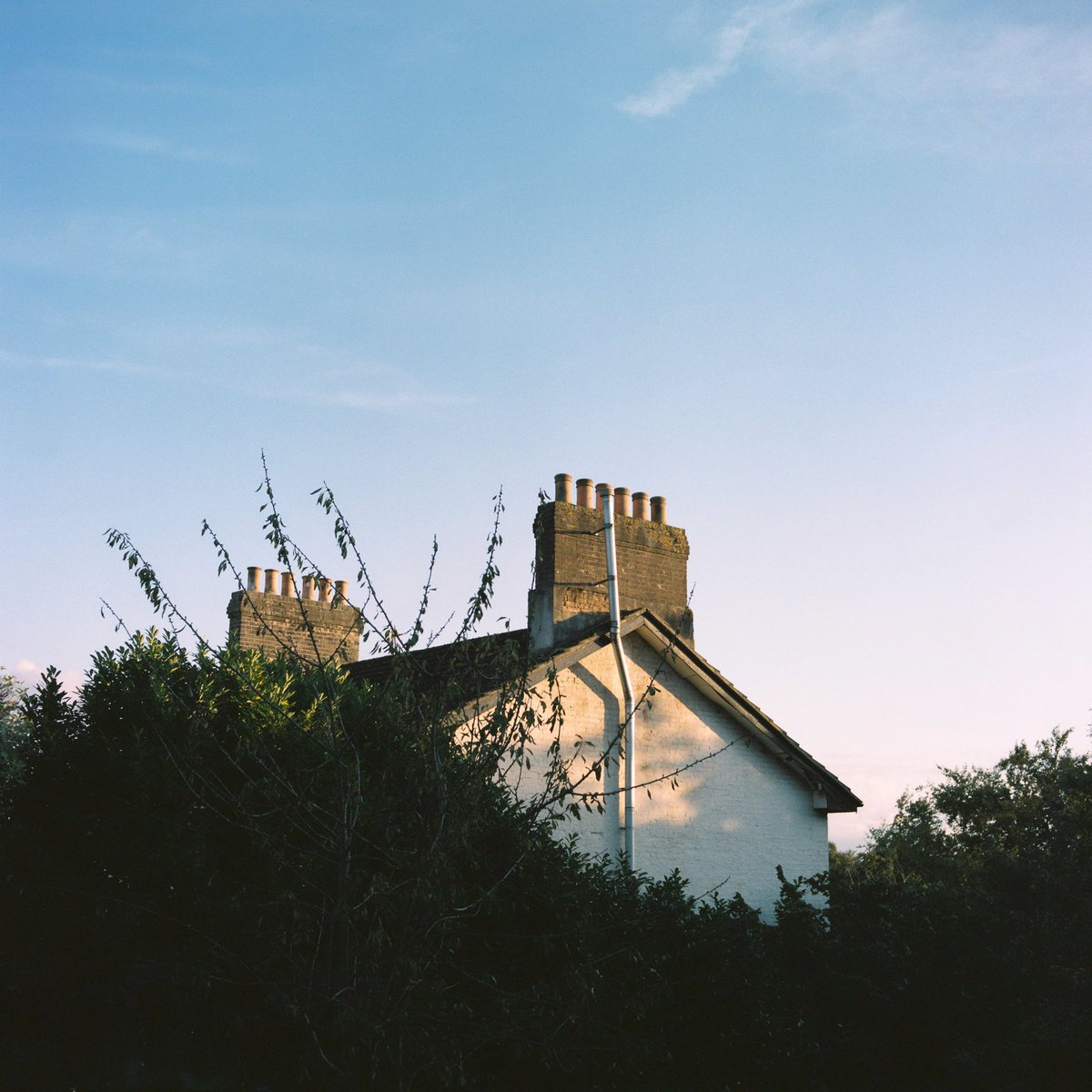 London, November 2021 #kodakfilm #madewithkodak #portra400nc