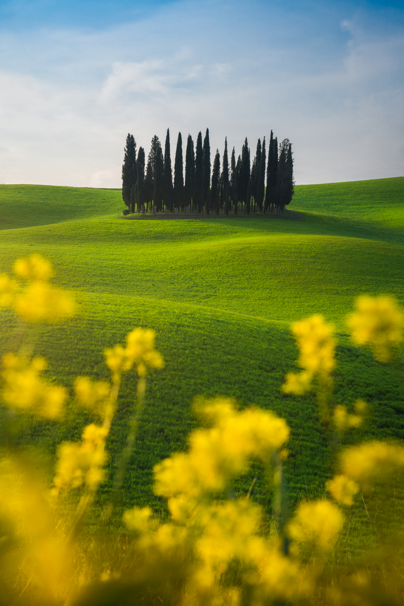 MarcoGrassi.eth tweet media