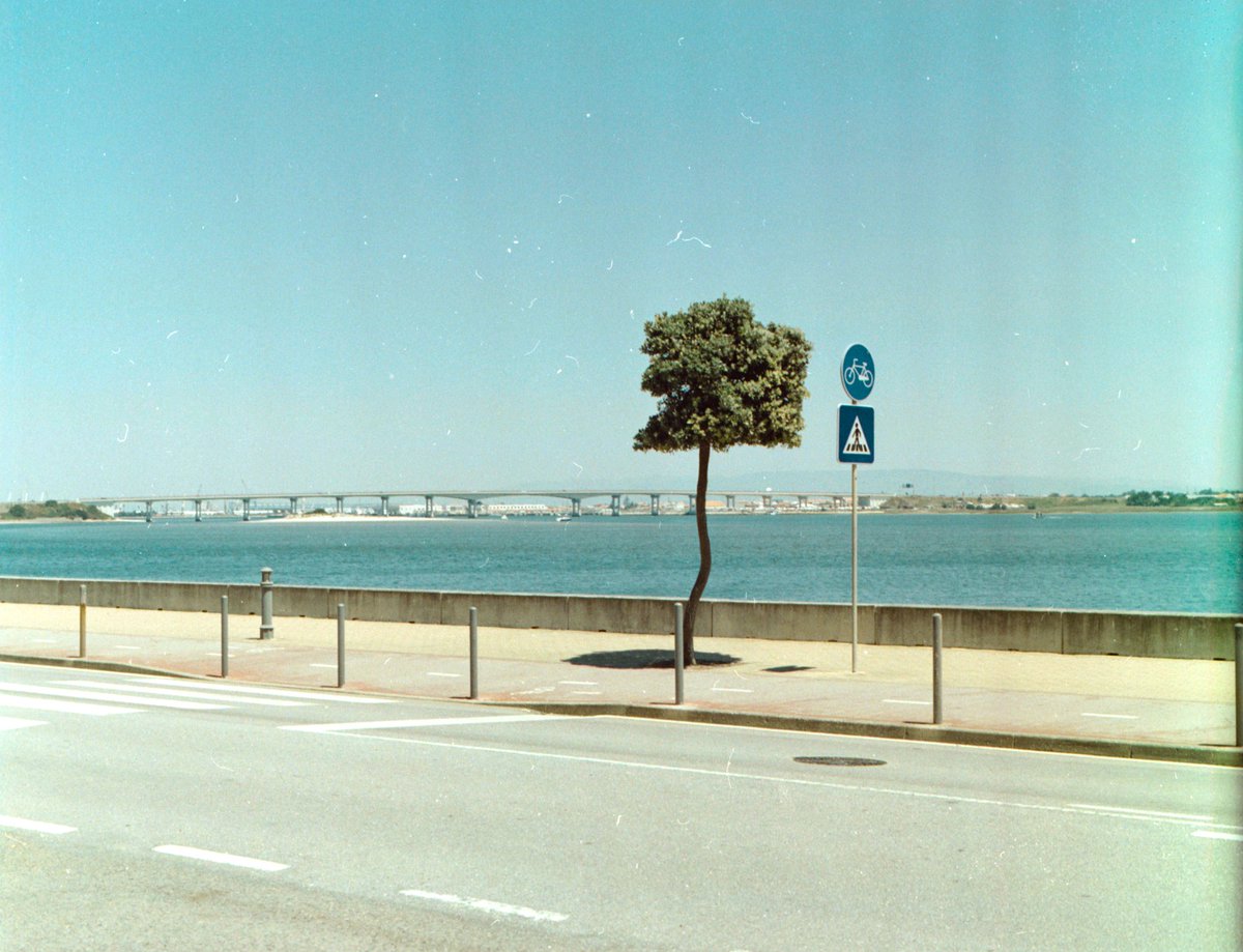 120films's tweet photo. summer vibe on 120 film https://t.co/qzovkM4fpN